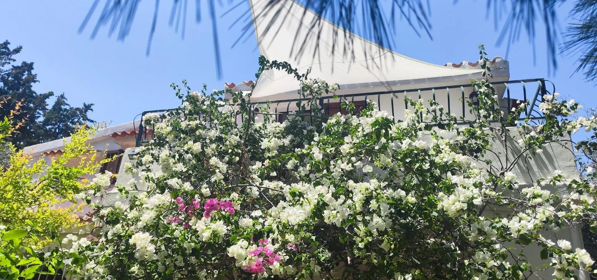 Apartament Il Giardino Di Frafa Quartu SantʼElena