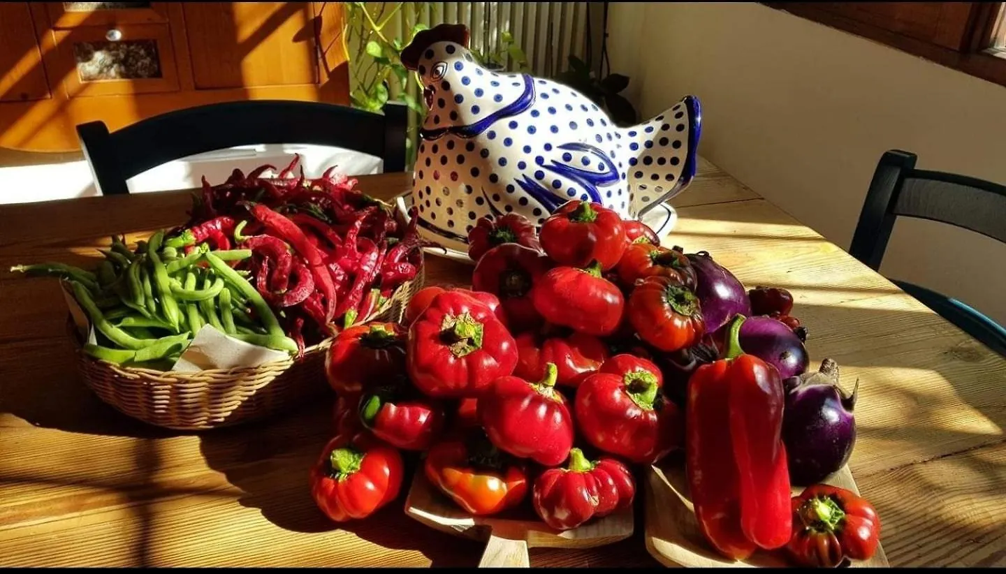 Homestay Il Giardino Di Frafa Apartment Quartu Sant'Elena